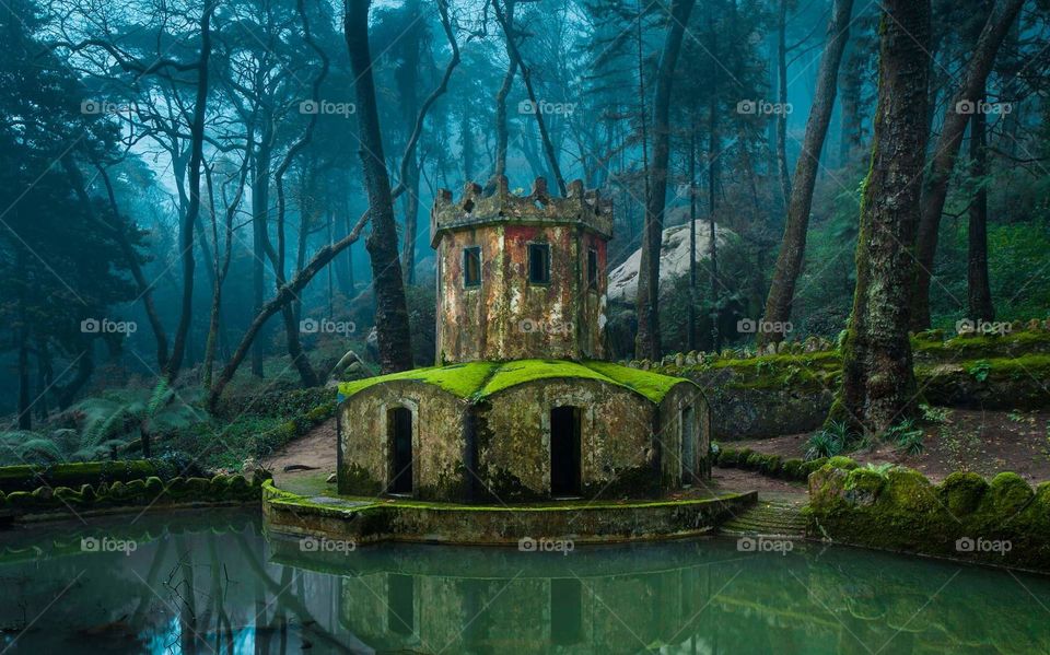 Located in the Sintra hills, the gardens and castle of Pena are the fruit of King Ferdinand II’s creative genius and the greatest expression of 19th-century romanticism in Portugal 🐦🌱🌳💧👑🛡
=============================
📍🗺🔘🌏🌐 Gardens of Pena
