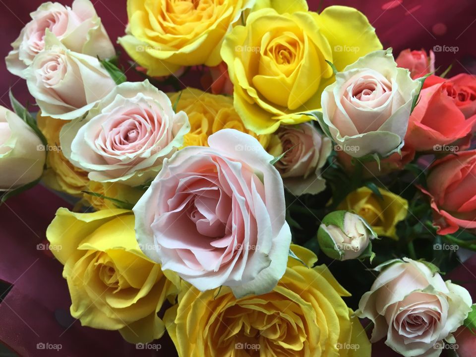 Rose, Bouquet, Love, Romance, Wedding