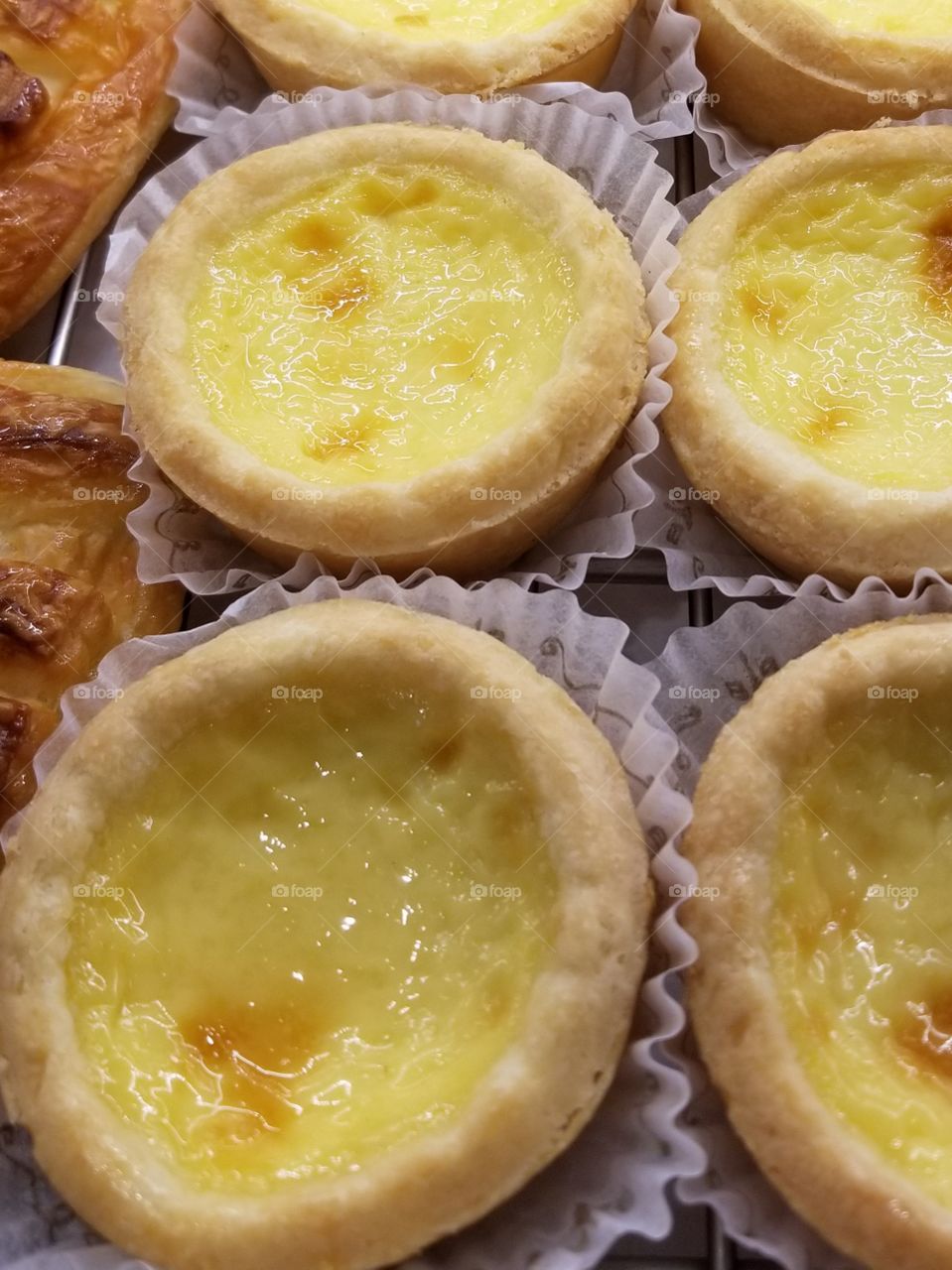 Custard Tarts