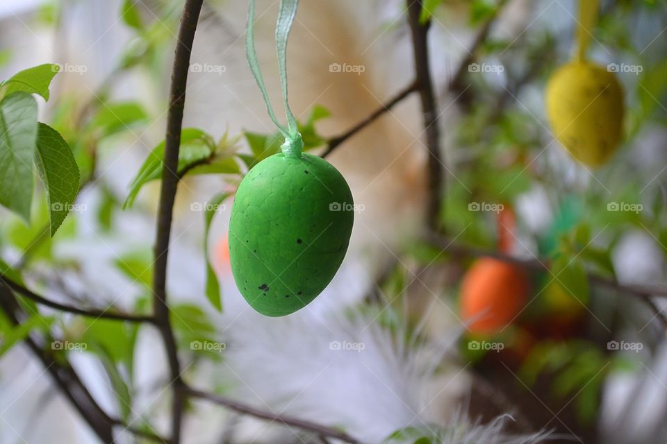 Nature, Leaf, Fruit, No Person, Food