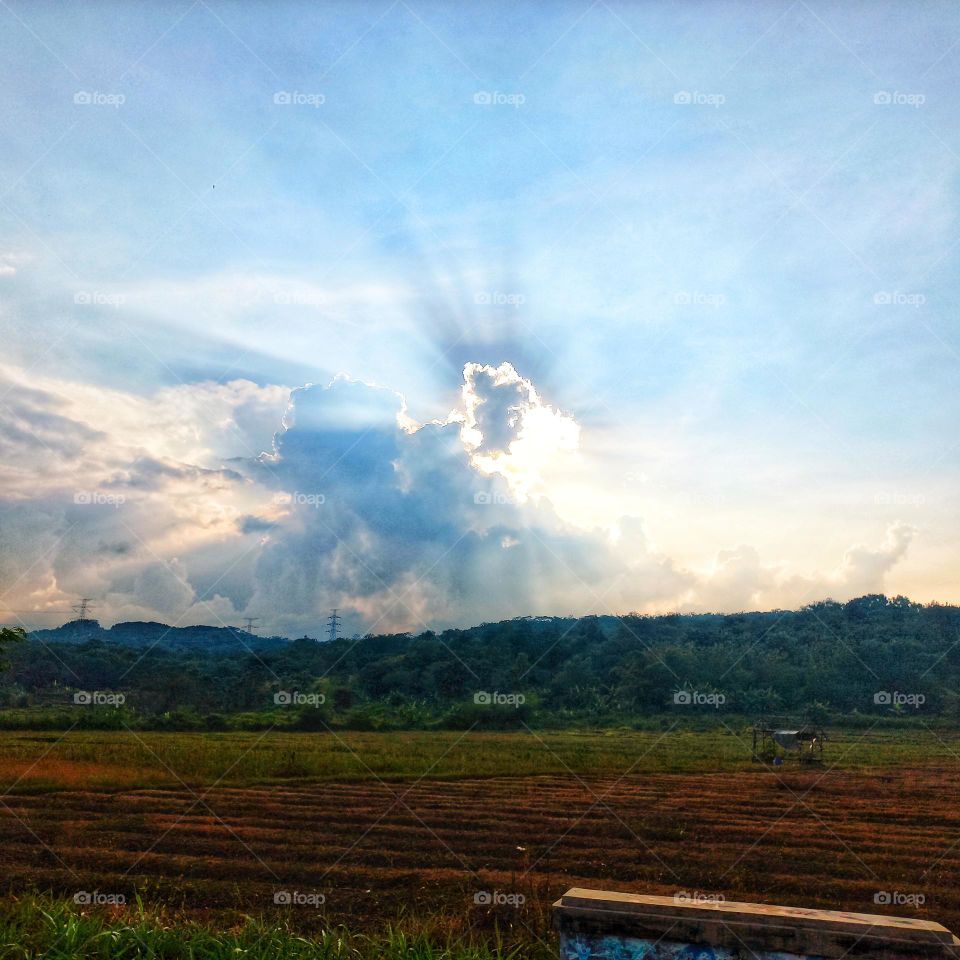 Afternoon in the fields when the sun is covered by clouds