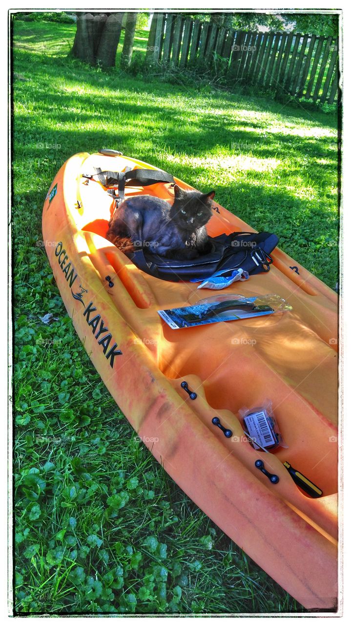 I'm ready to go kayaking, guys!