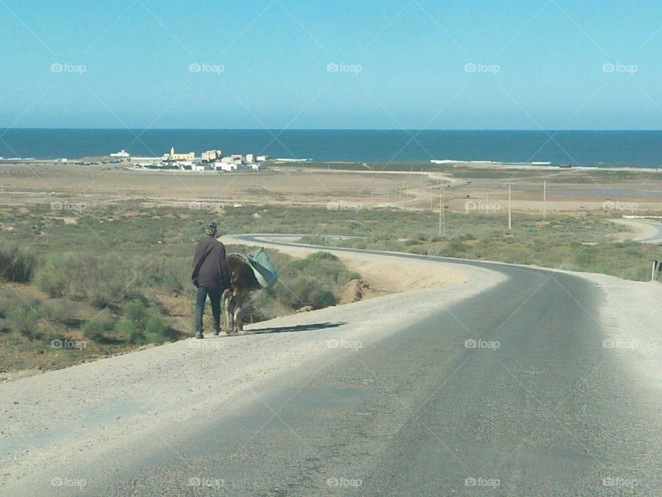 The man with his donkey walking towards the sea.