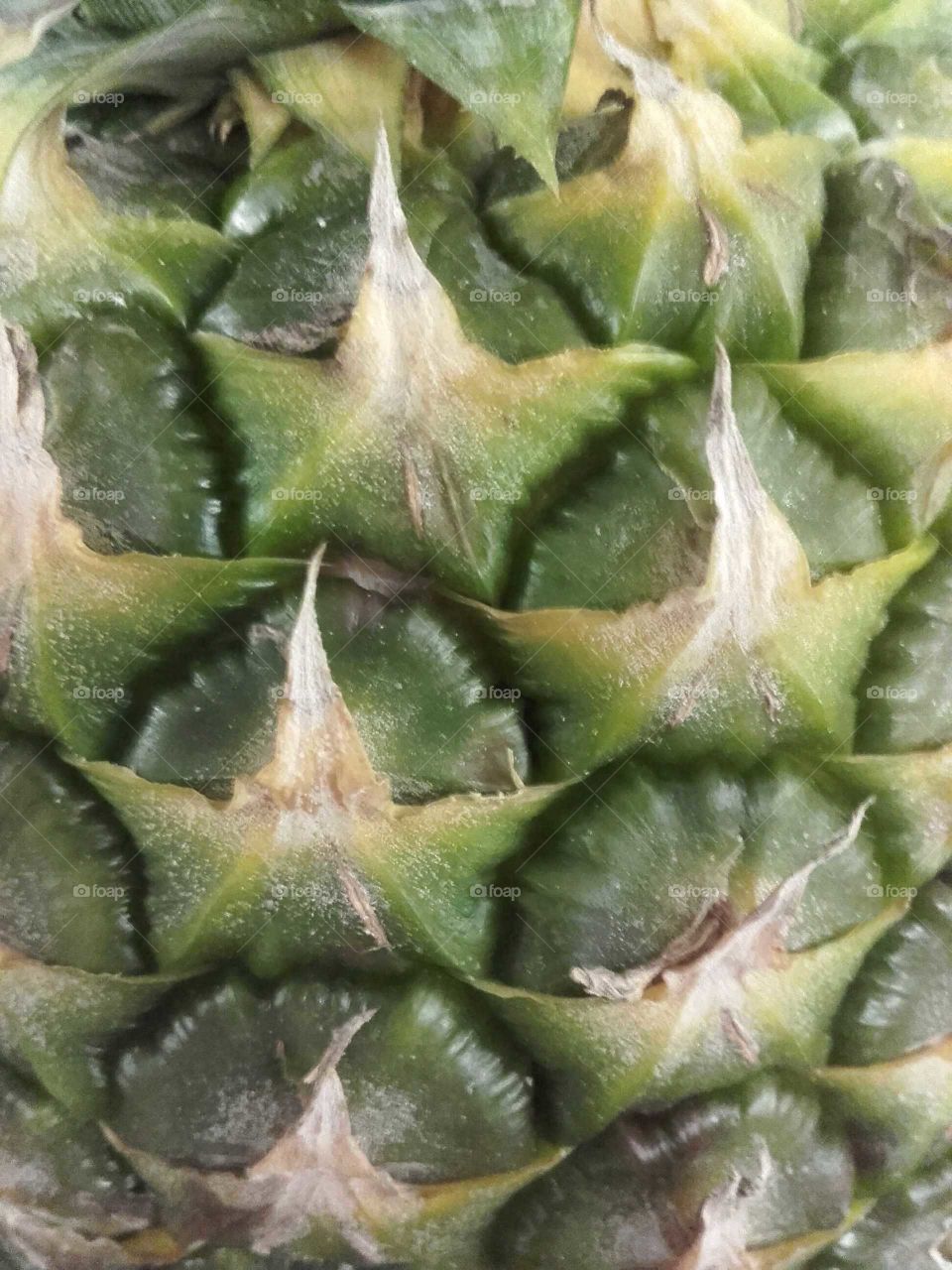 Pineapple close-up