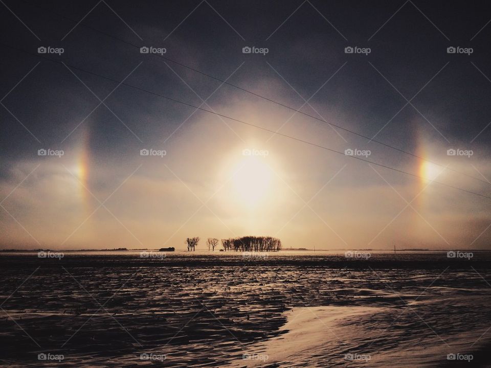 Sundogs