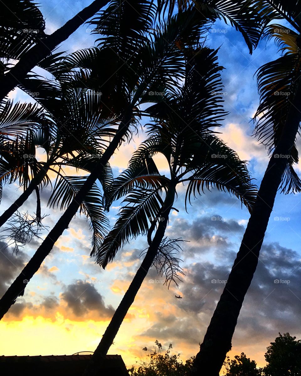 🌄#Entardecer que nos traz motivação!
Como não se inspirar com a beleza da #natureza?
📸 
#fotografia #sol #sun #sky #céu #nature #horizonte #paisagem #landscape #inspiração #mobgrafia #XôStress #FotografiaÉNossoHobby