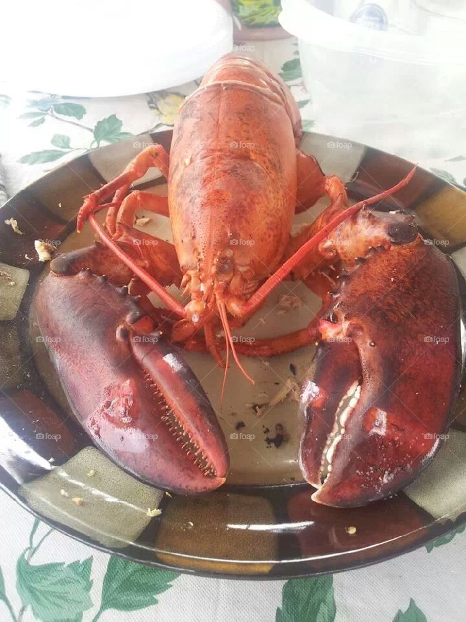 Lobster! 
