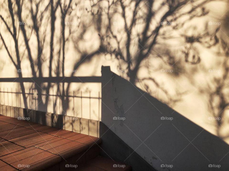 Shadow of trees and railing on balcony wall 