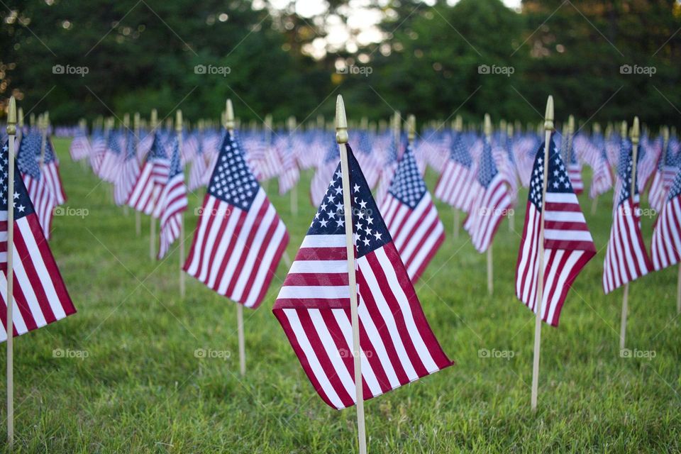 Flag, respect, Memorial Day, USA, remember