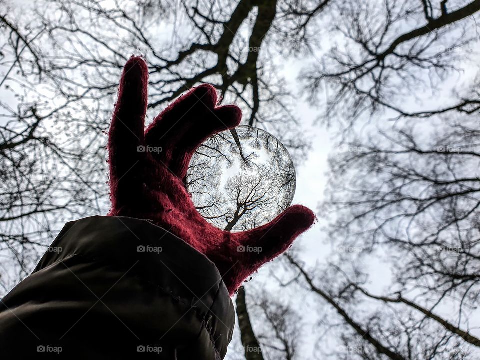 A portrait of a hand with a red glove holding a lens ball in the middle of a forest during winter time. the trees are caught in a morphed reflection inside of the glass ball.