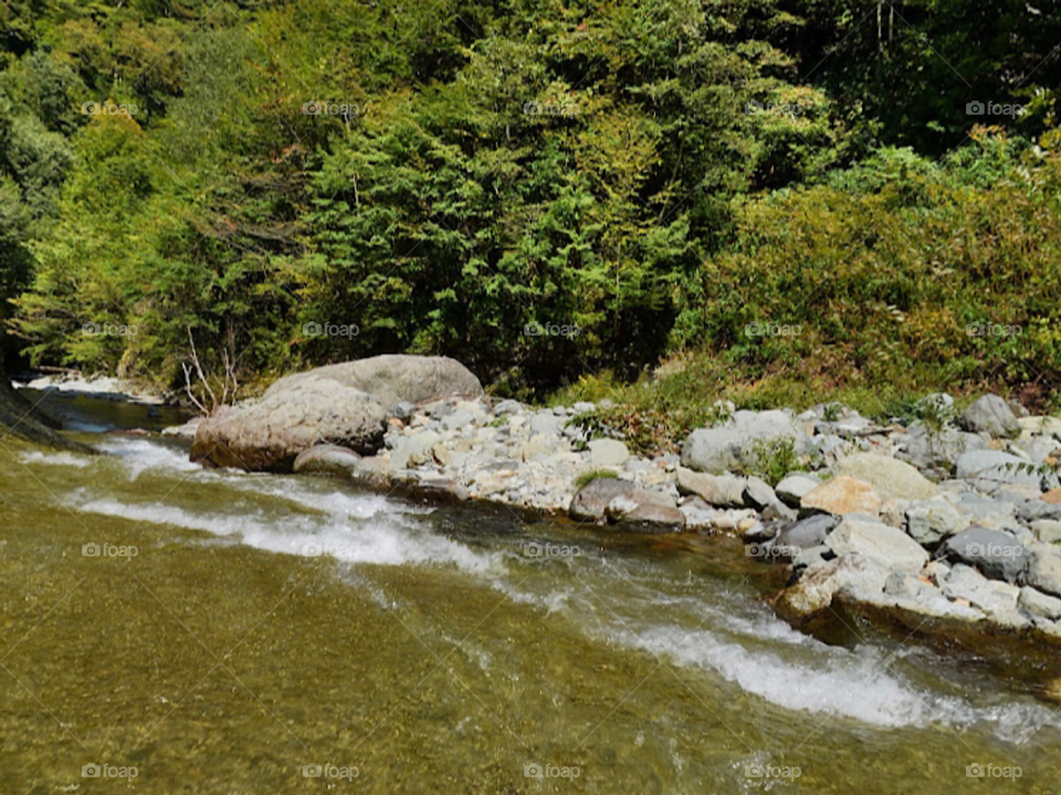 Лучшая река