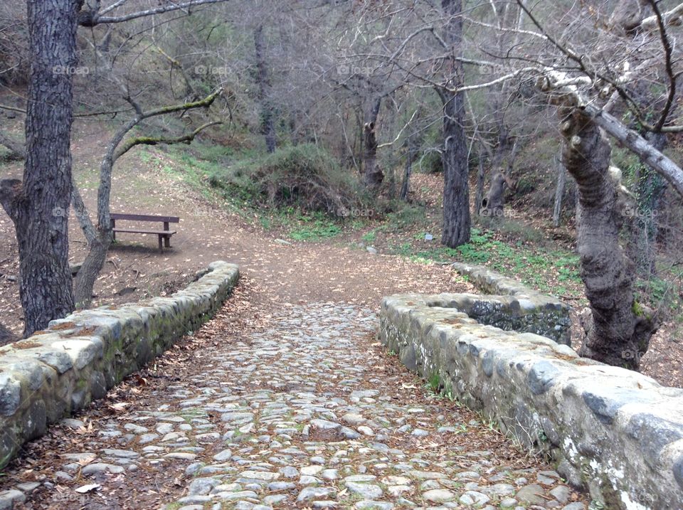 Forest Path over stone bridge.