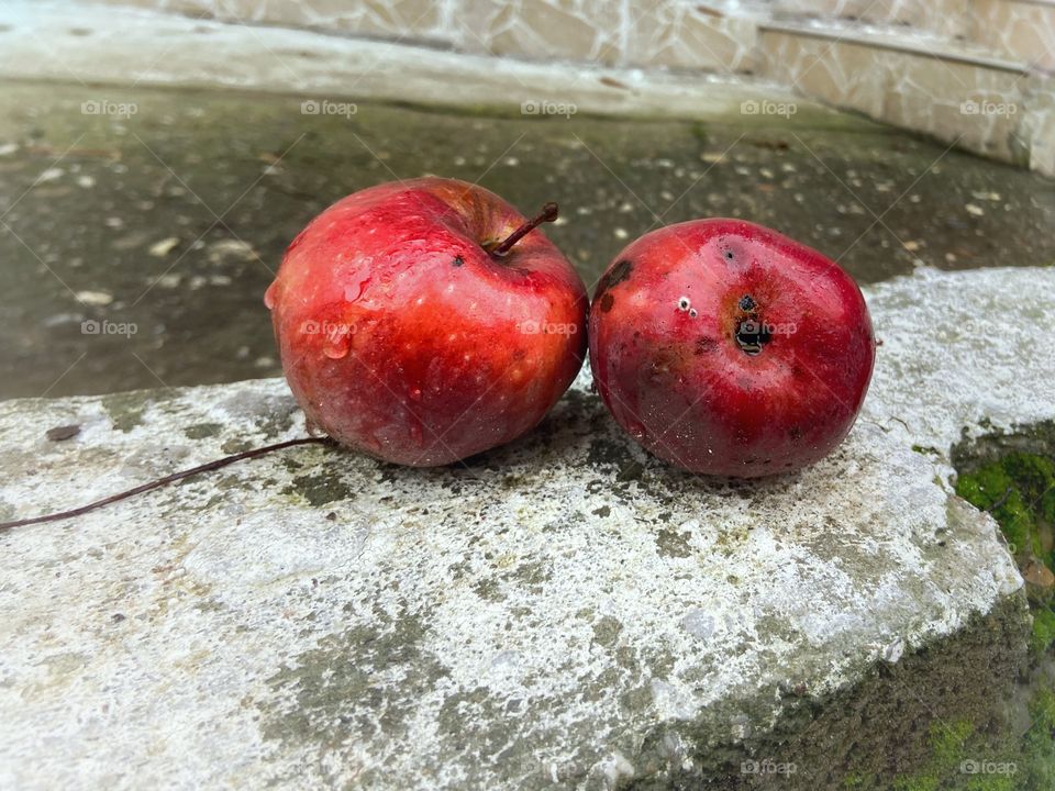 Red apple 