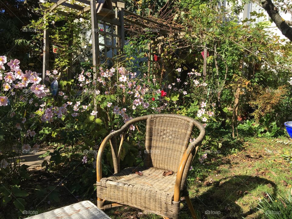 Peaceful garden in France