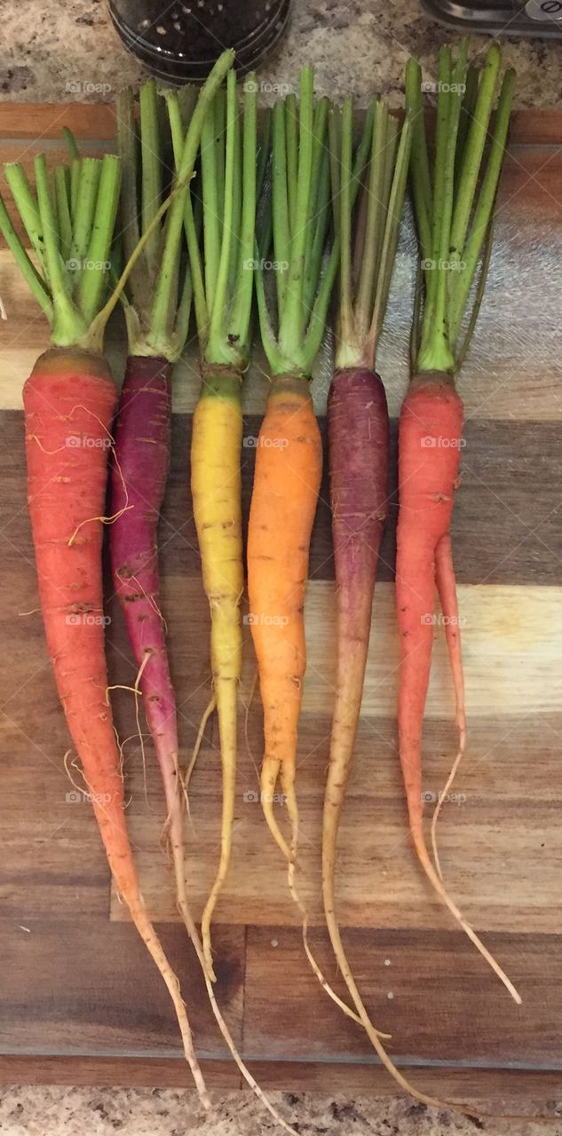 Kaleidoscope carrots, washed and trimmed from the garden