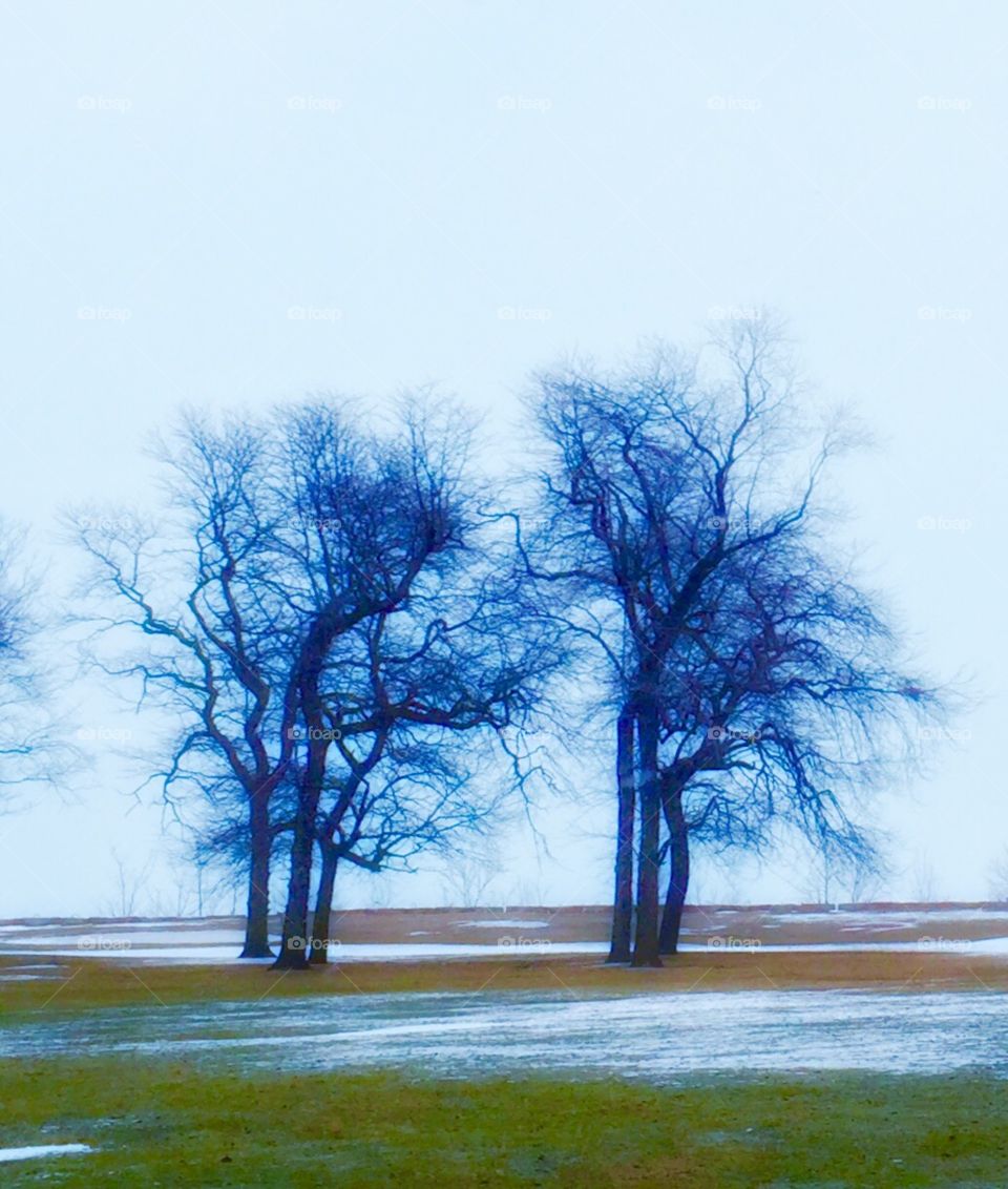 Chicago Series: South Shore