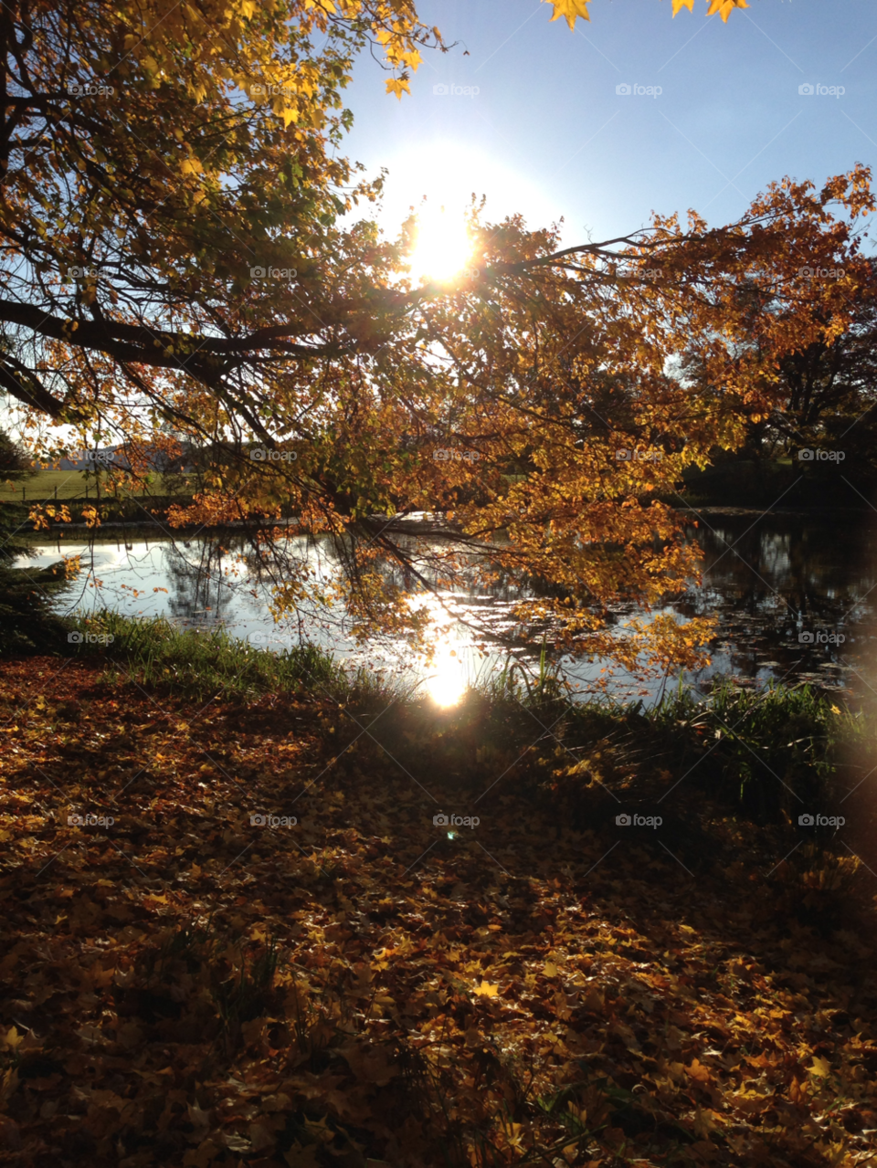 trout beck lake district october autumn sunshine by null_device