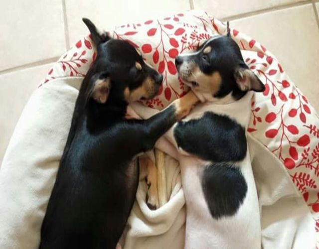 sisters
