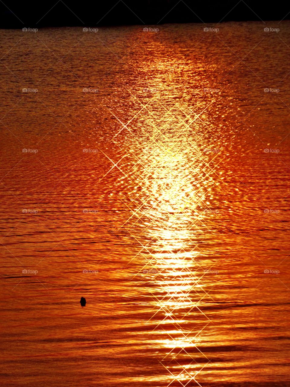 Sparkling sunset on the lake. 