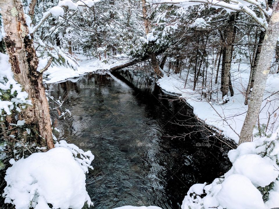 siver Creek water runs year round minus 20 on this day