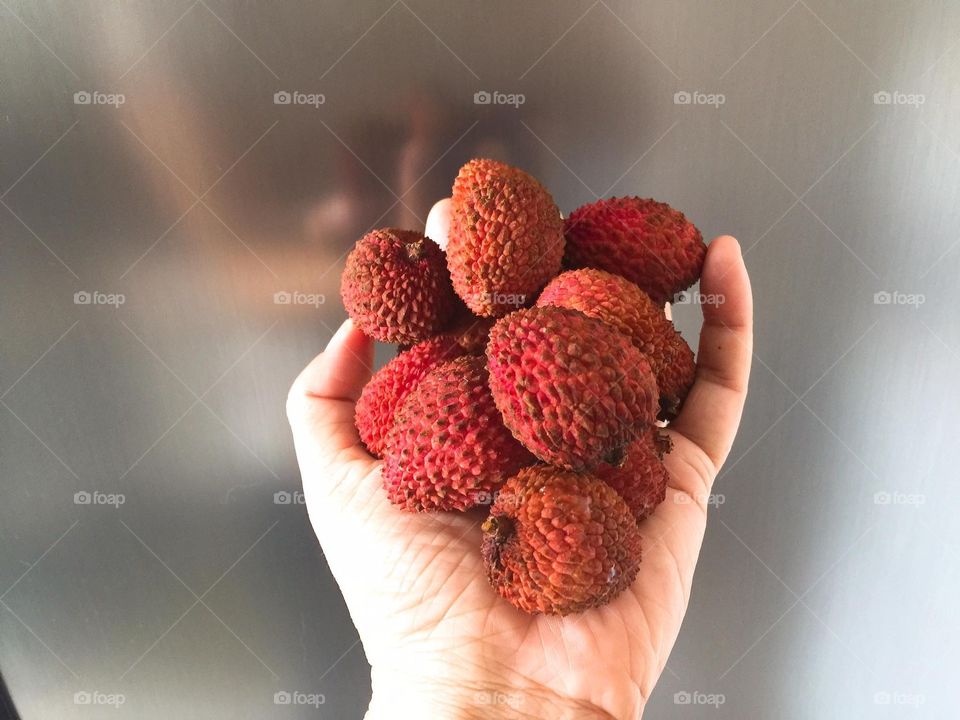 Lychee fruit in hand