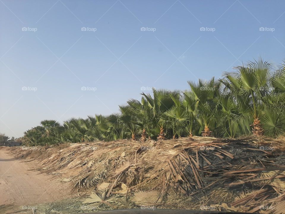 Please make me happy, I am poor, I need your help with support