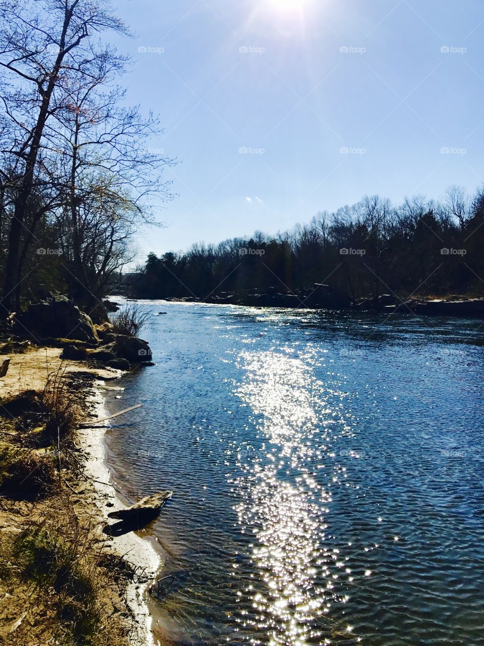 River Reflections