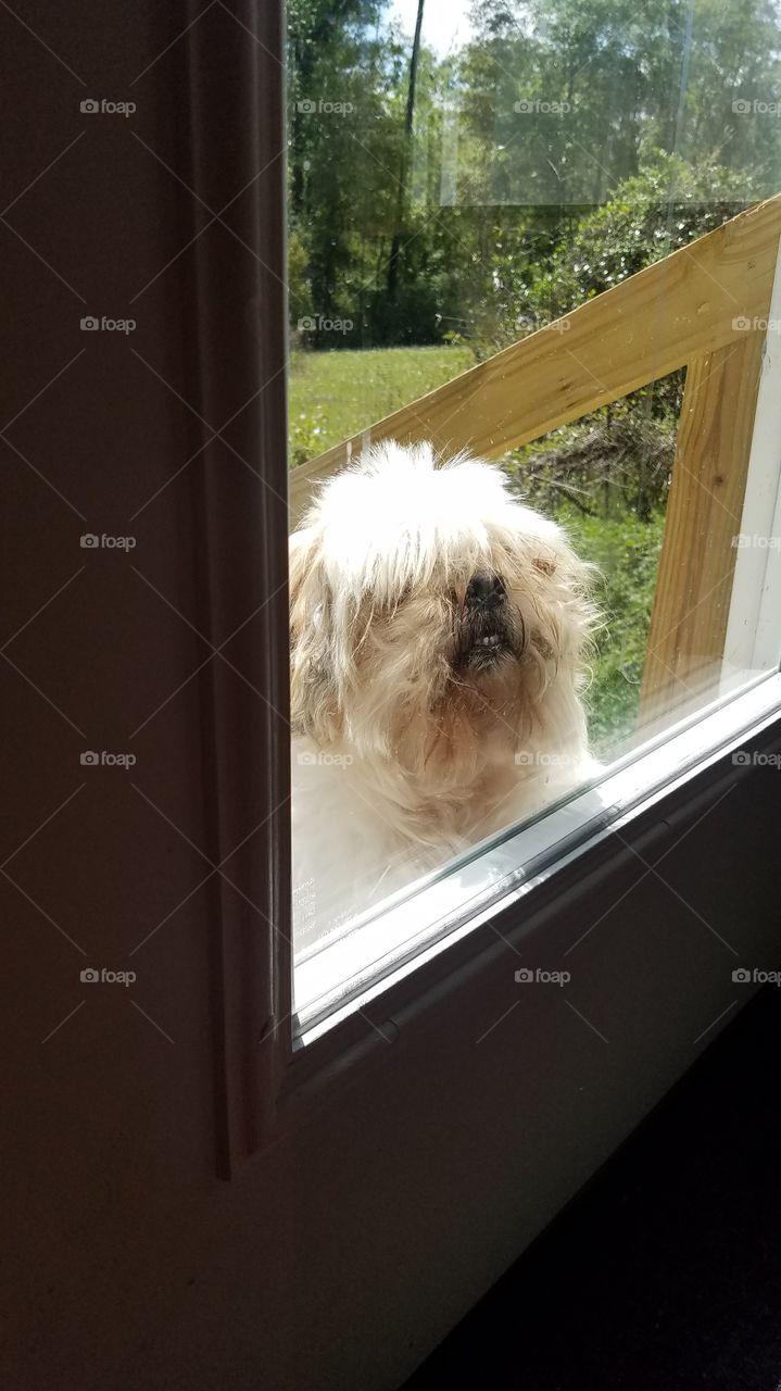 Can I come in?