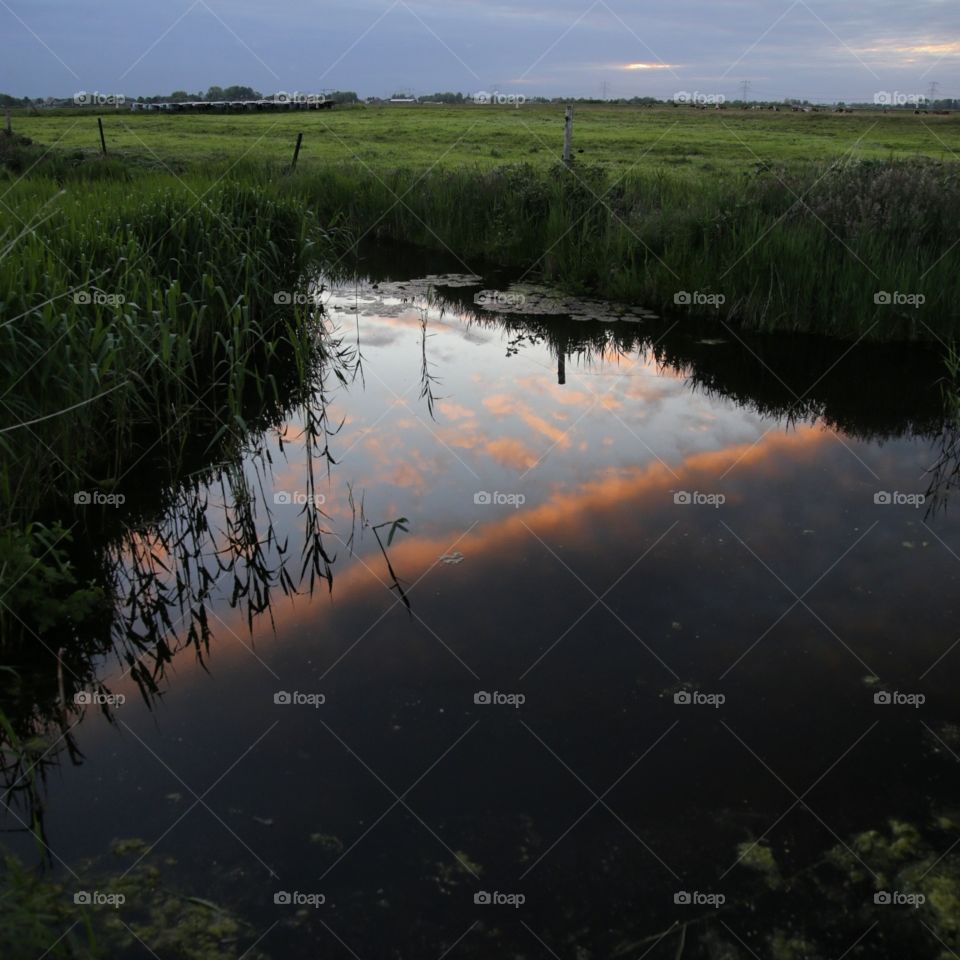 landscape with reflection. reflection in water