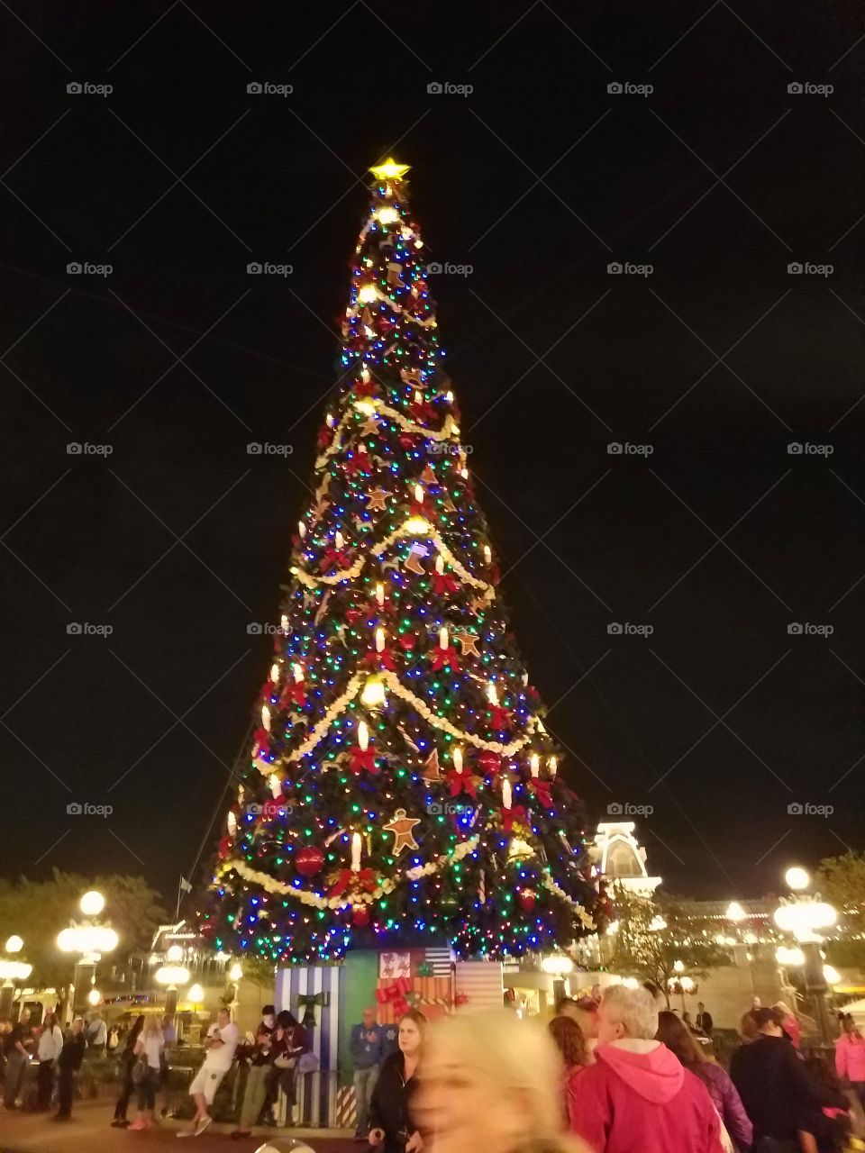 Christmas Tree, Christmas, City, Festival, People