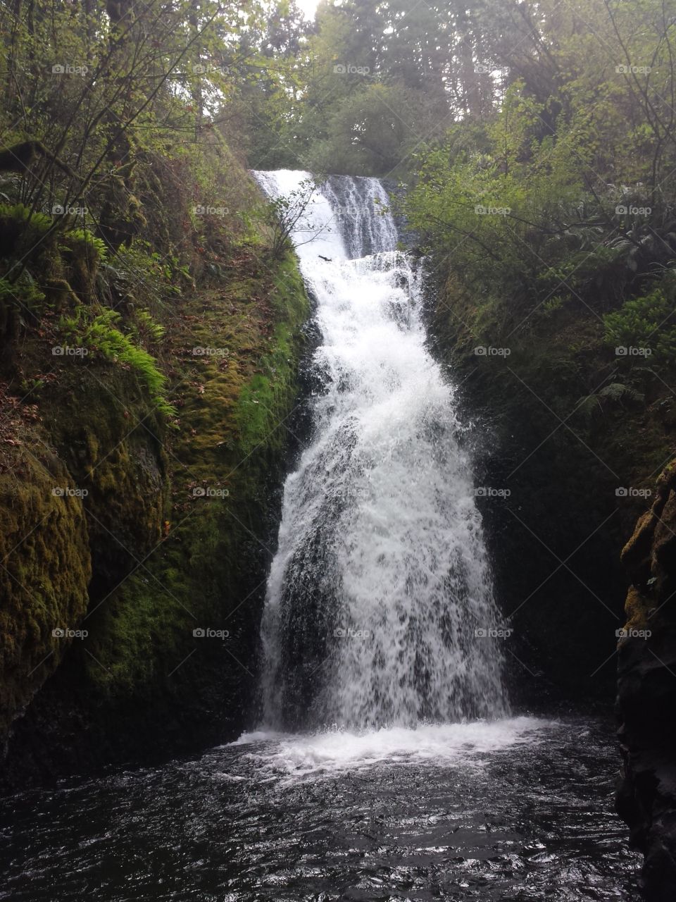 Waterfall, Water, River, No Person, Landscape