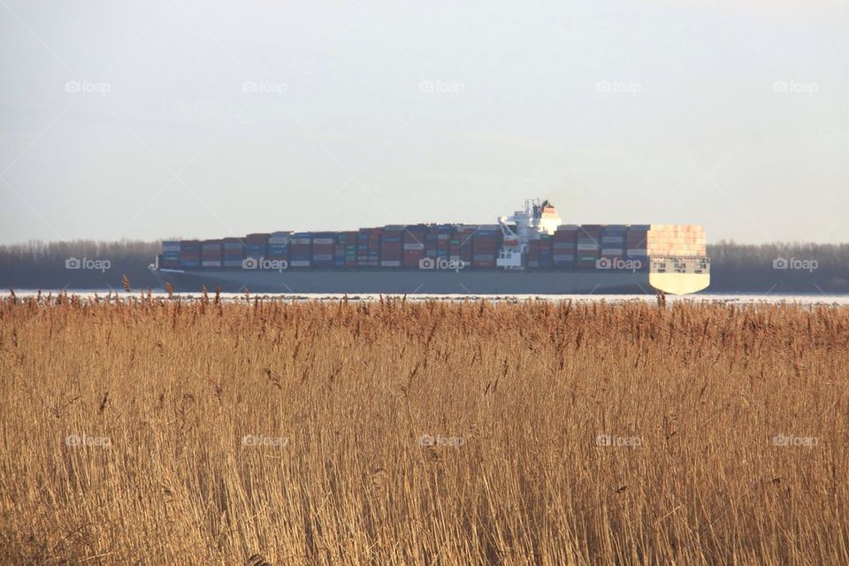 Container ship on the river