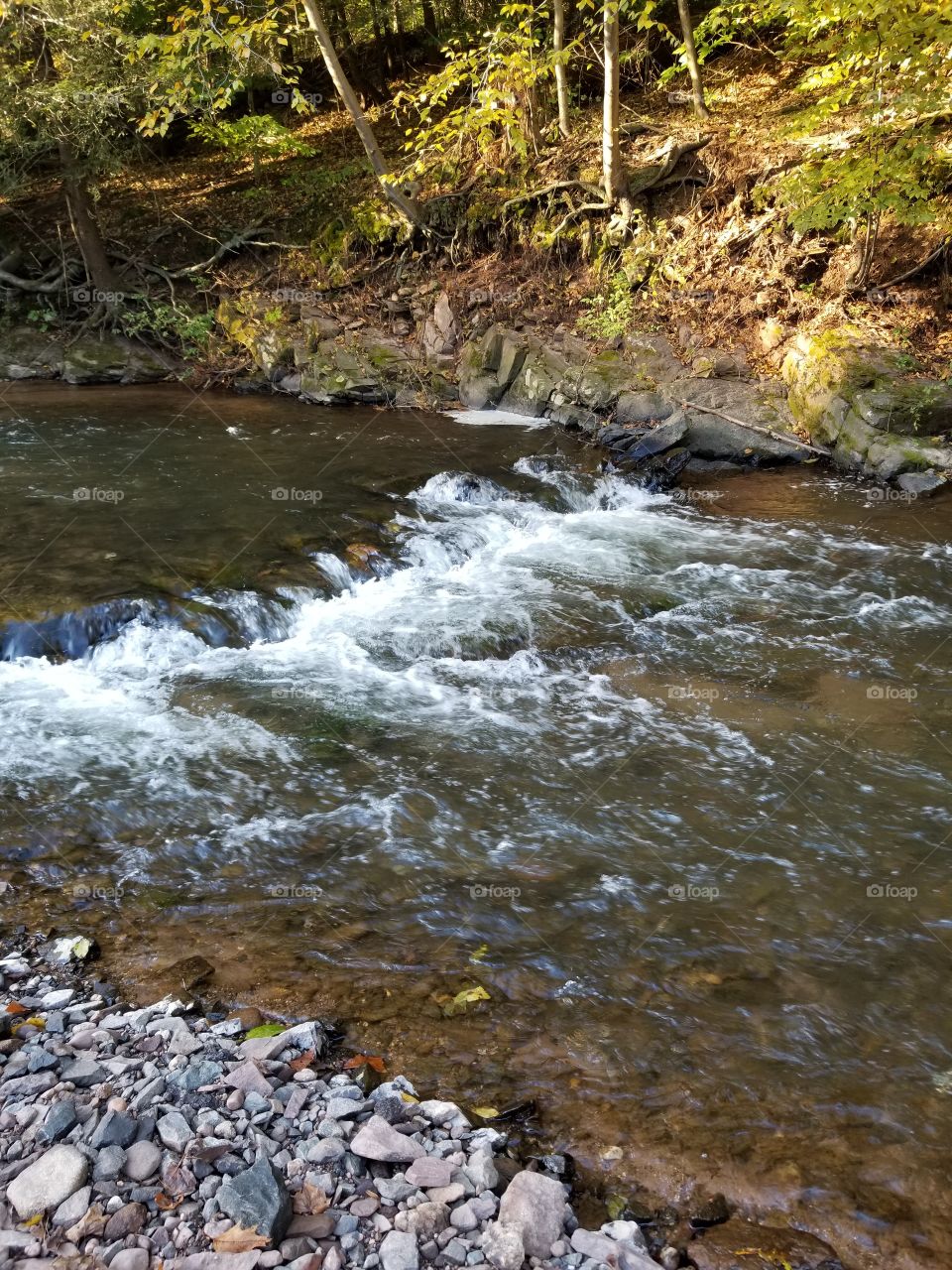stream with swirling water