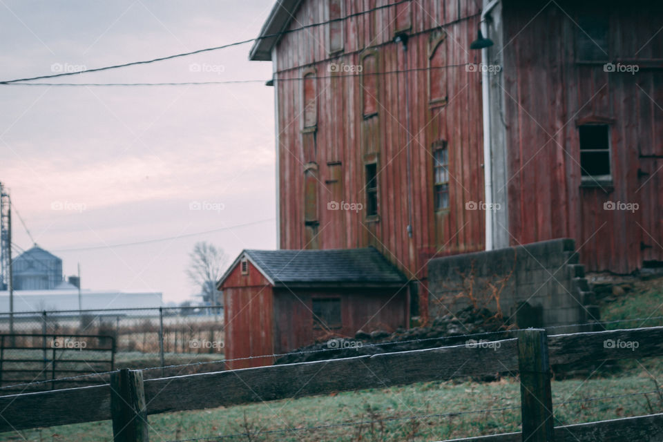 Red cow barn