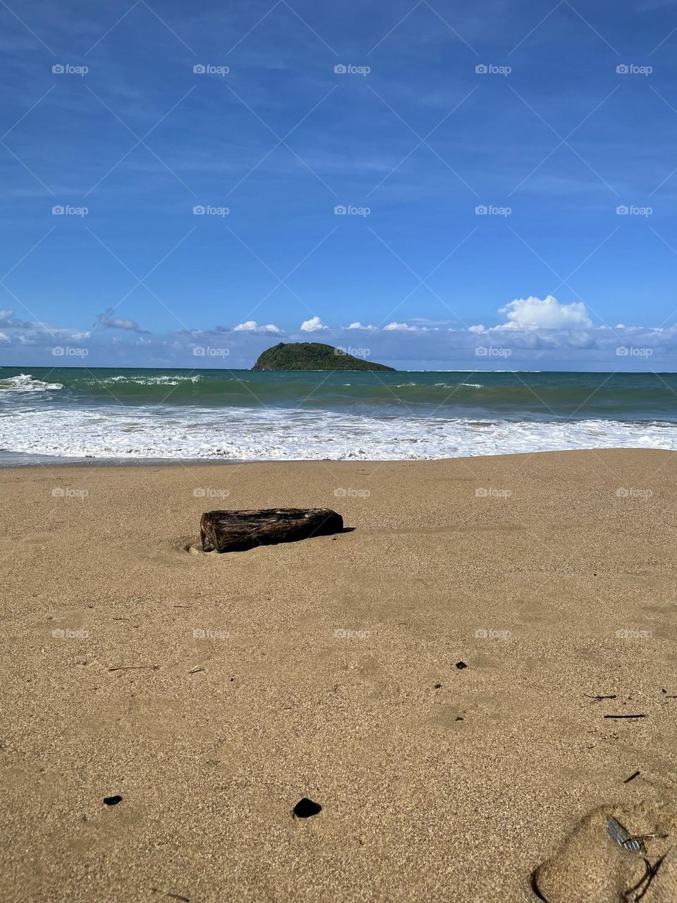 View of a wild beach in the French West Indies