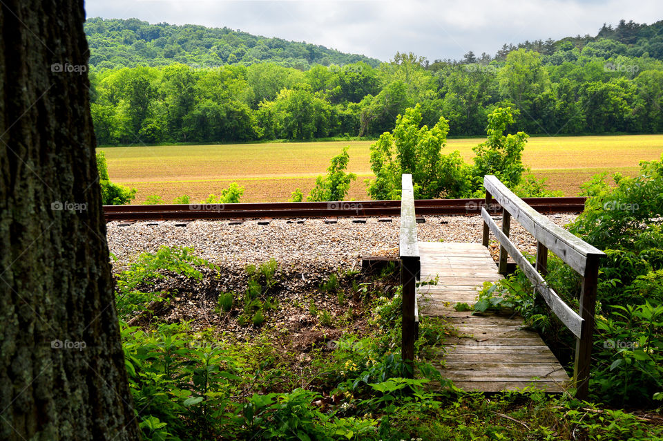 Wooden pedestrian bridge and railroad crossing