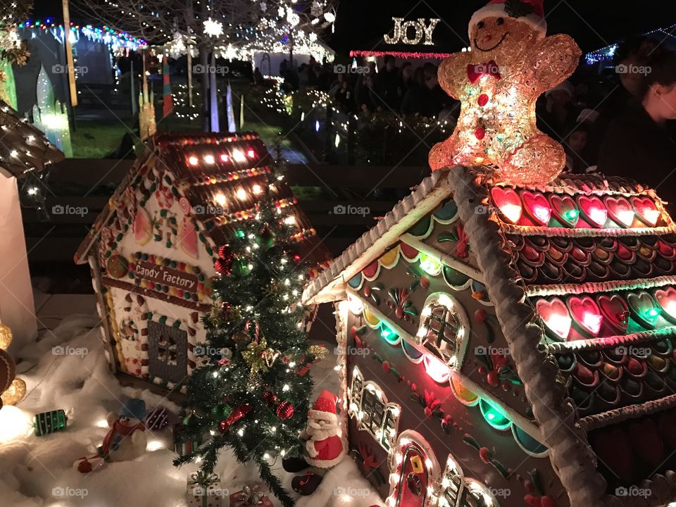 Beautiful Christmas display in California 