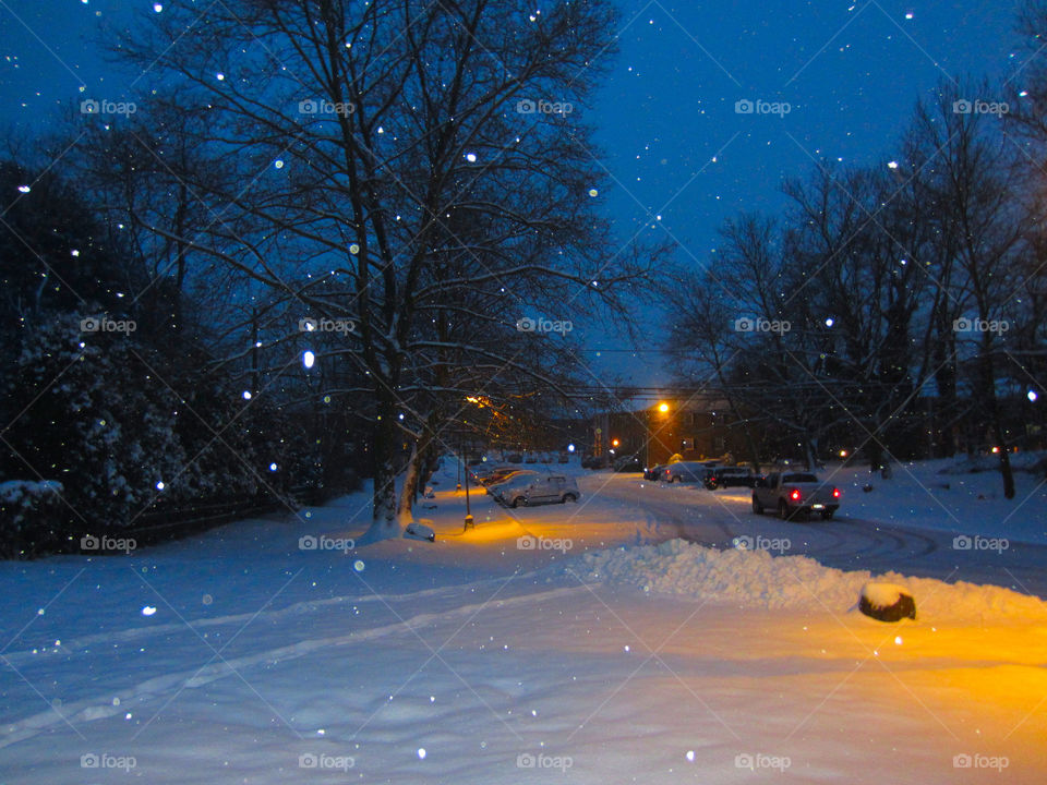 Snow at Night