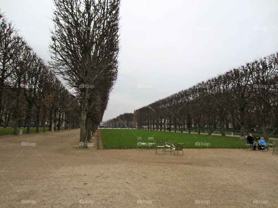 Tree, No Person, Competition, Outdoors, Landscape