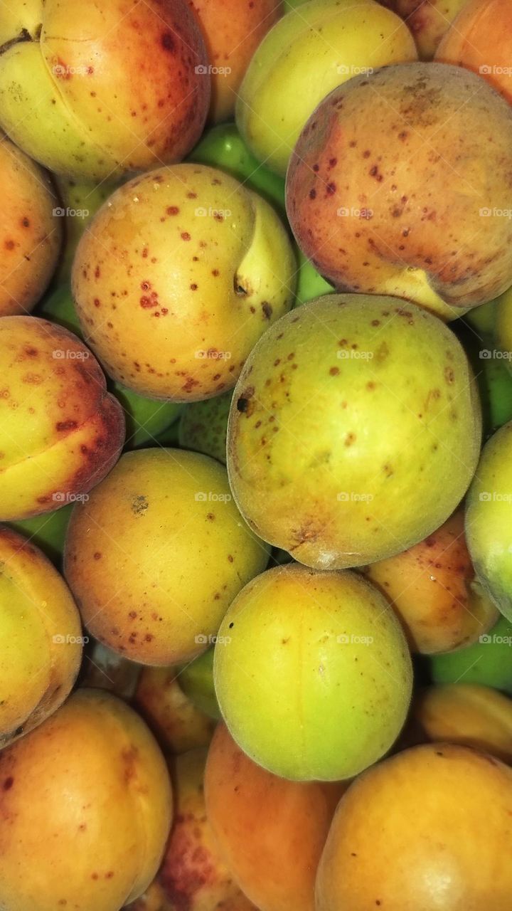 Photo of an apricot lying in a basket