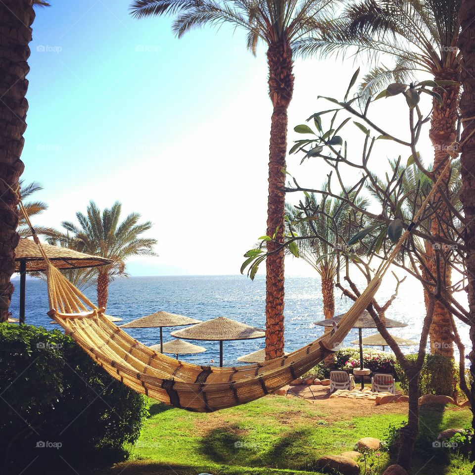 Hammock hanging between palm trees on beach