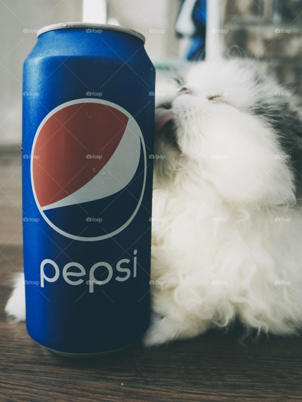 Tom-Tom Loves Pepsi