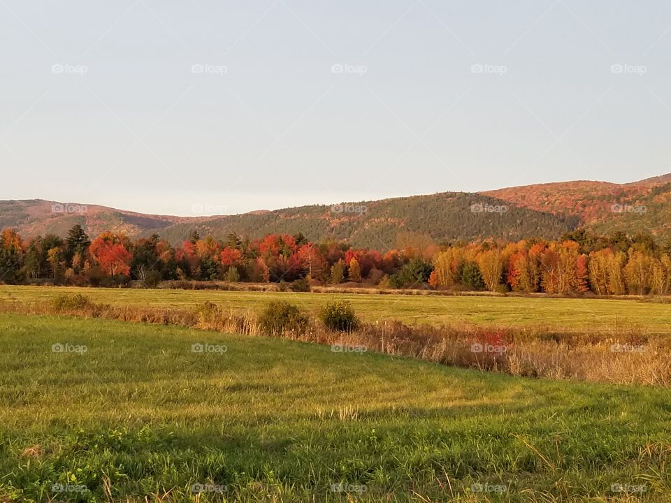 Vermont Vista