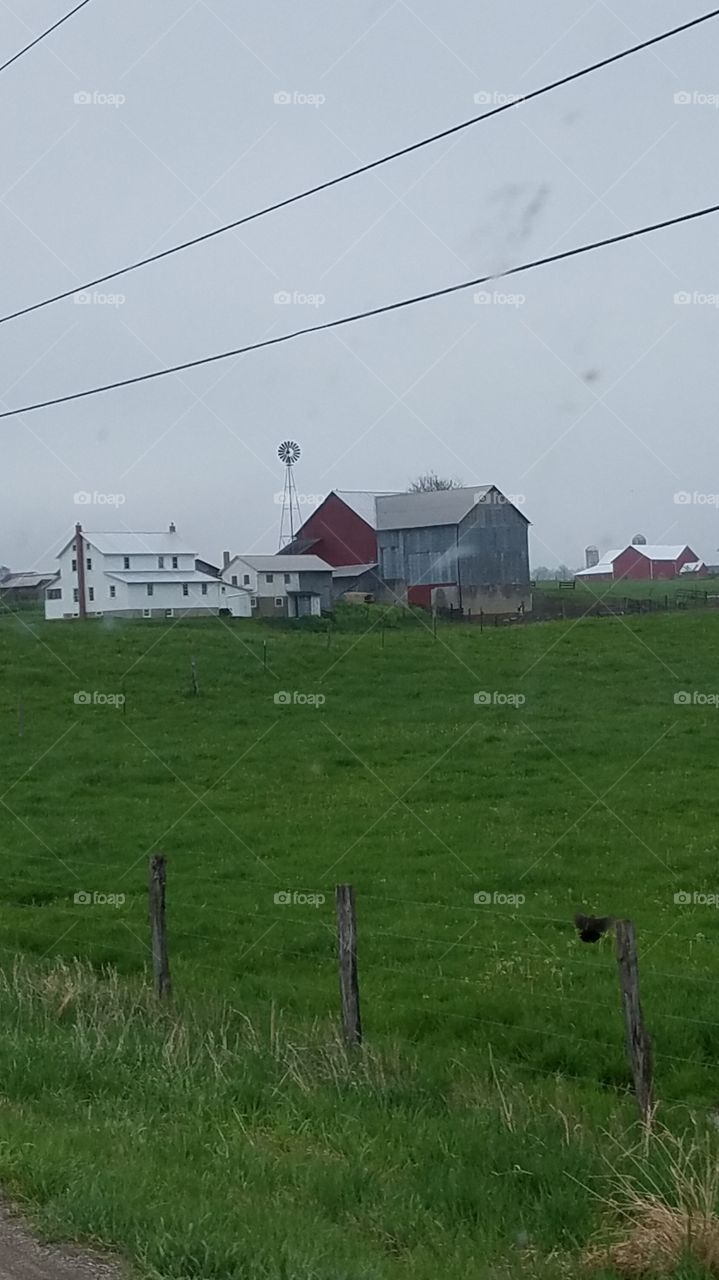 Amish farm