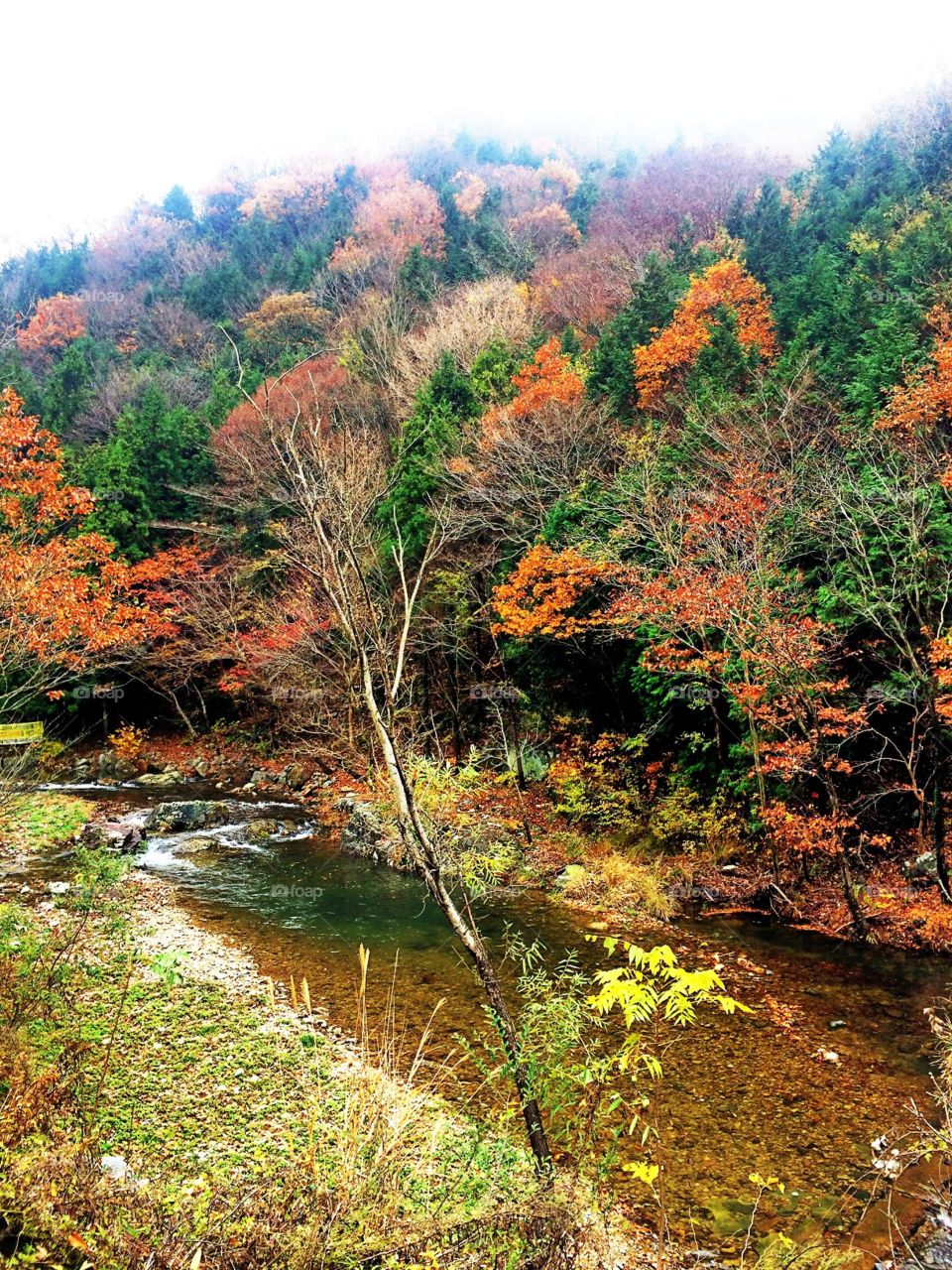 just another place where i fell in love again... Autumn when in south Korea.