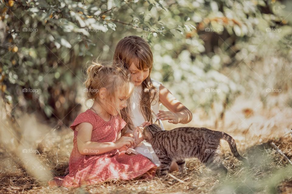 Children playing with kitten in a garden