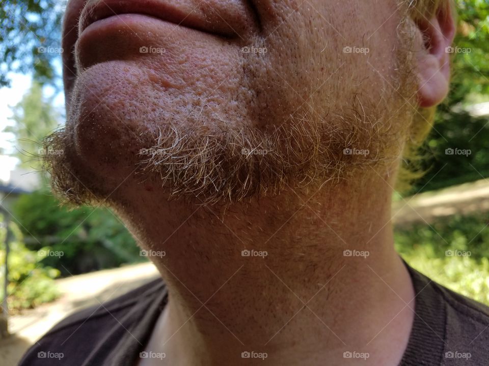 jaw line red beard