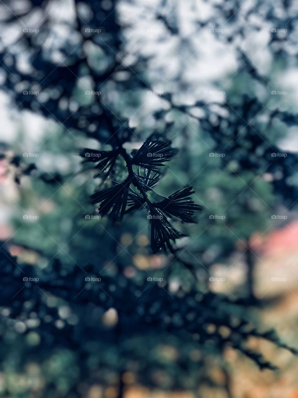 winter
