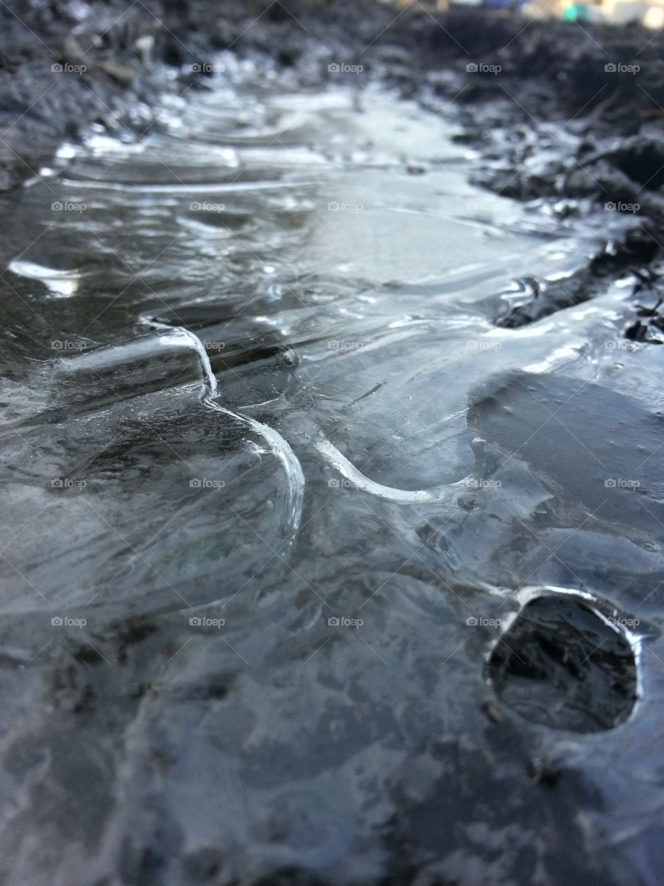 Iced Over . 21 degrees out this morning. Catching the morning light on the ice. 