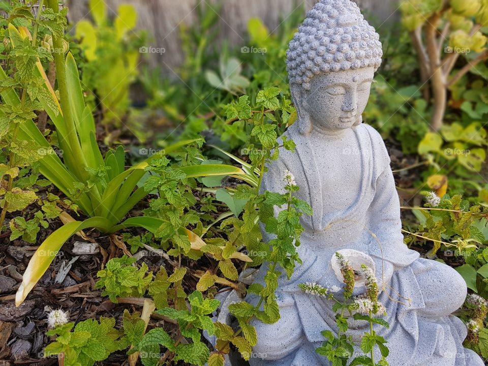 budda in garden